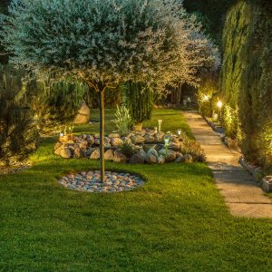 How do I create a low-maintenance landscape?