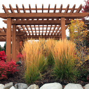How do I integrate my pergola into my landscaping? - faq - Bright Habitats